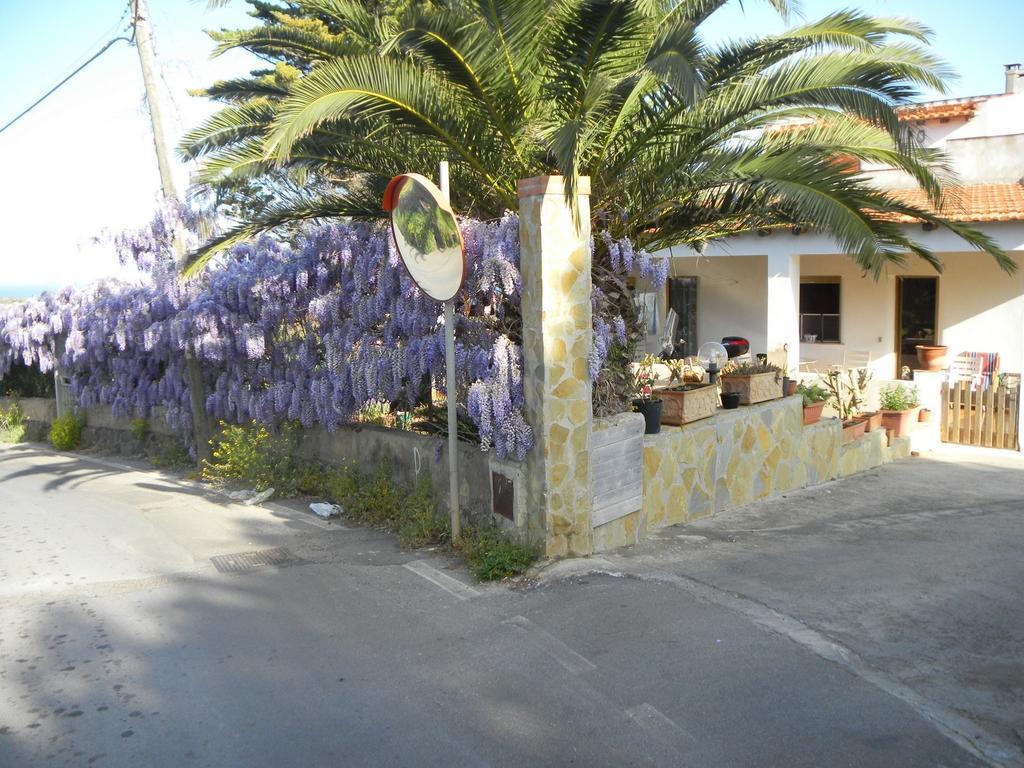 Case Vacanze La Cernia Bruna Isola di Ustica Luaran gambar